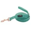 Dog Leash - Wag Your Teal -Furfinity Cheap Shop WYTLeash