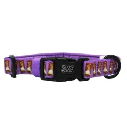 Dog Four Piece Bundle - Willy Wonka & The Chocolate Factory™ -Furfinity Cheap Shop Willy Wonka collar 2