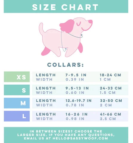 Dog Three Piece Bundle - Summer Sorbet 9 Dog Three Piece Bundle - Summer Sorbet - Image 7