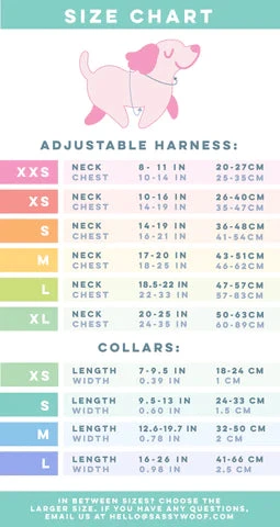 Dog Four Piece Bundle - Neon Orange 9 Dog Four Piece Bundle - Neon Orange - Image 7