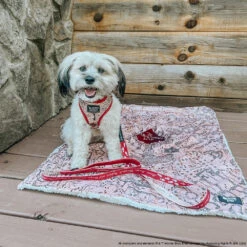 Dog Two Piece Bundle - Harry Potter™ Marauder's Map™ 37 Dog Two Piece Bundle - Harry Potter™ Marauder's Map™ -Furfinity Cheap Shop YOUBERRABELIEVEIT