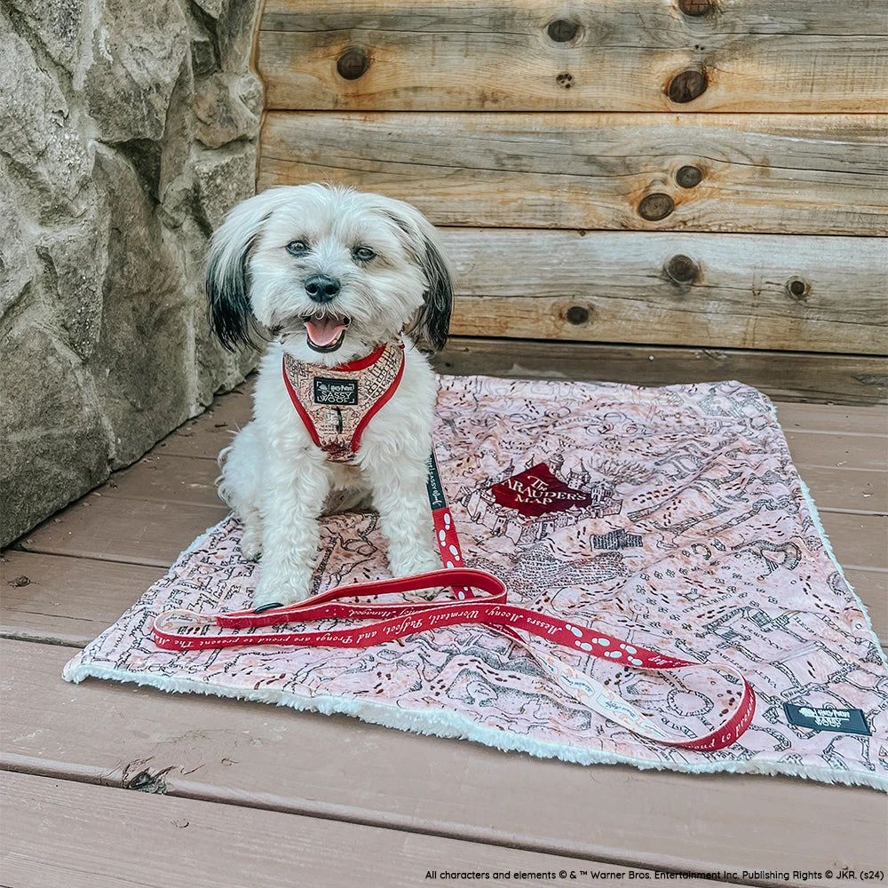 Dog Two Piece Bundle - Harry Potter™ Marauder's Map™ 18 Dog Two Piece Bundle - Harry Potter™ Marauder's Map™ - Image 16