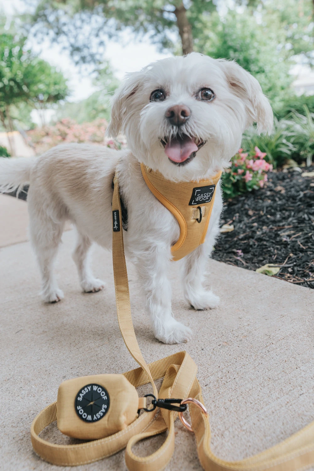 Dog Four Piece Bundle - Sunflower Fields 12 Dog Four Piece Bundle - Sunflower Fields - Image 10