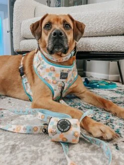 Dog Waste Bag Holder - Mush Love -Furfinity Cheap Shop ZERO AND ECHO 2 e39db2cd 9905 41f7 a9e6 1f34dc2d1b94