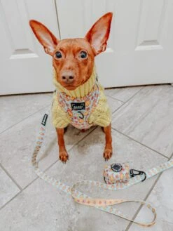 Dog Waste Bag Holder - Good Duck, Babe! -Furfinity Cheap Shop ZEUS THEMINPIN 1 8cde0b1a c698 48c0 b1cd f5d0ae774b2d