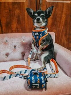 Dog Three Piece Bundle - STAR WARS™ Ahsoka -Furfinity Cheap Shop alohachihuahuas 3 728ae4a5 9486 4818 a6e7 35c9b837e03a