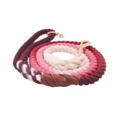 Dog Rope Leash - Amore -Furfinity Cheap Shop amore dog rope leash new 3