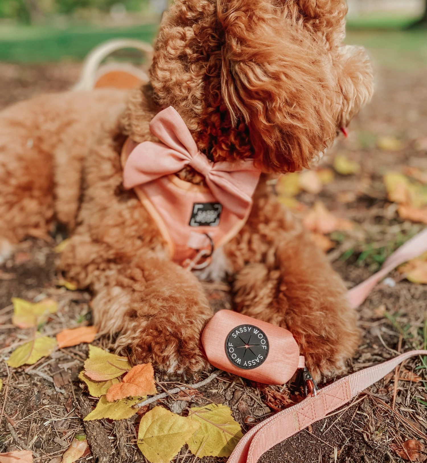 Dog Waste Bag Holder - Apple Cider 6 Dog Waste Bag Holder - Apple Cider - Image 4