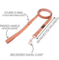 Collar Three Piece Bundle - Apple Cider 16 Collar Three Piece Bundle - Apple Cider -Furfinity Cheap Shop apple cider dog fabric leash guide