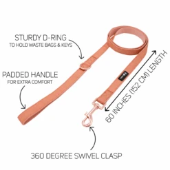 Dog Two Piece Bundle - Apple Cider -Furfinity Cheap Shop apple cider dog fabric leash guide 2 bcf5c5eb bef6 42bf 8b60 c9c987f68f72