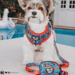 Dog Waste Bag Holder - Superman™ -Furfinity Cheap Shop archi.the .beiwer2 39e9c660 084e 4b8f ba70 c251b5615c07