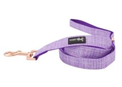 Dog Four Piece Bundle - Aurora -Furfinity Cheap Shop aurora dog fabric leash