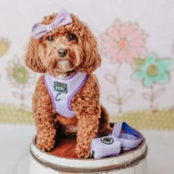 Dog Waste Bag Holder - Aurora -Furfinity Cheap Shop aurora dog waste bag 1