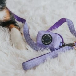 Collar Three Piece Bundle - Aurora 21 Collar Three Piece Bundle - Aurora -Furfinity Cheap Shop aurora dog waste bag 552b74bf 9ce9 4ac0 b837 1c9441a18fba