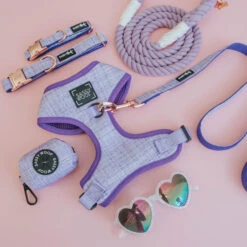 Dog Collar - Aurora -Furfinity Cheap Shop aurora flatlay 6