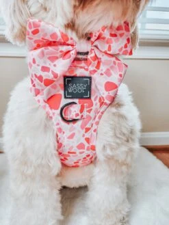 Dog Sailor Bow - Mykonos -Furfinity Cheap Shop autumn thegoldie 1