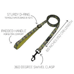 Collar Three Piece Bundle - Raise The Woof 13 Collar Three Piece Bundle - Raise The Woof -Furfinity Cheap Shop barkday leash guide