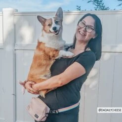 Pinot Woof Pack (Bag Only) -Furfinity Cheap Shop beige woof pack dog bag