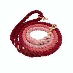 Dog Rope Leash - Beloved -Furfinity Cheap Shop beloved dog rope leash 3