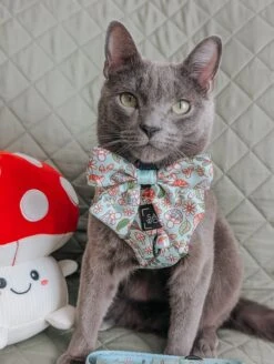 Dog Adjustable Harness - Shrooms & Blooms -Furfinity Cheap Shop bilbo fluffins 3 4071a2a8 52e1 41ed bd6e f1242f354999