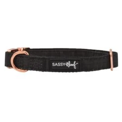 Dog Collar - Baby Got Black -Furfinity Cheap Shop black dog collar2 06020f56 1fdc 468a b327 be36795b3702
