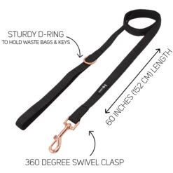 Dog Two Piece Bundle - Baby Got Black -Furfinity Cheap Shop black dog fabric leash guide dcd1b679 bc22 48c9 bca7 9382eaff50ed 1