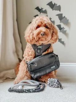 Baby Got Black Woof Pack (Bag Only) -Furfinity Cheap Shop blackwoofpack