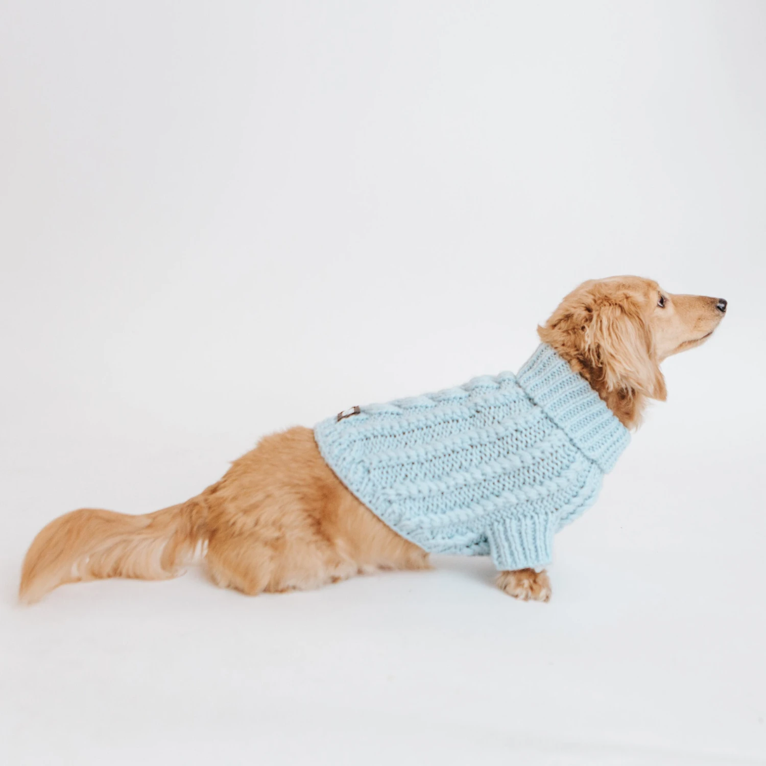Dog Cable Knit Sweater - Light Blue 8 Dog Cable Knit Sweater - Light Blue - Image 6