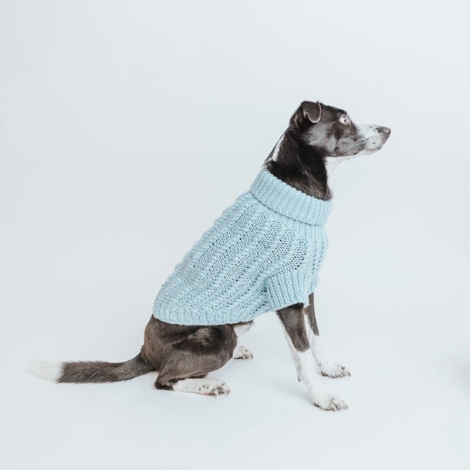 Dog Cable Knit Sweater - Light Blue 12 Dog Cable Knit Sweater - Light Blue - Image 10