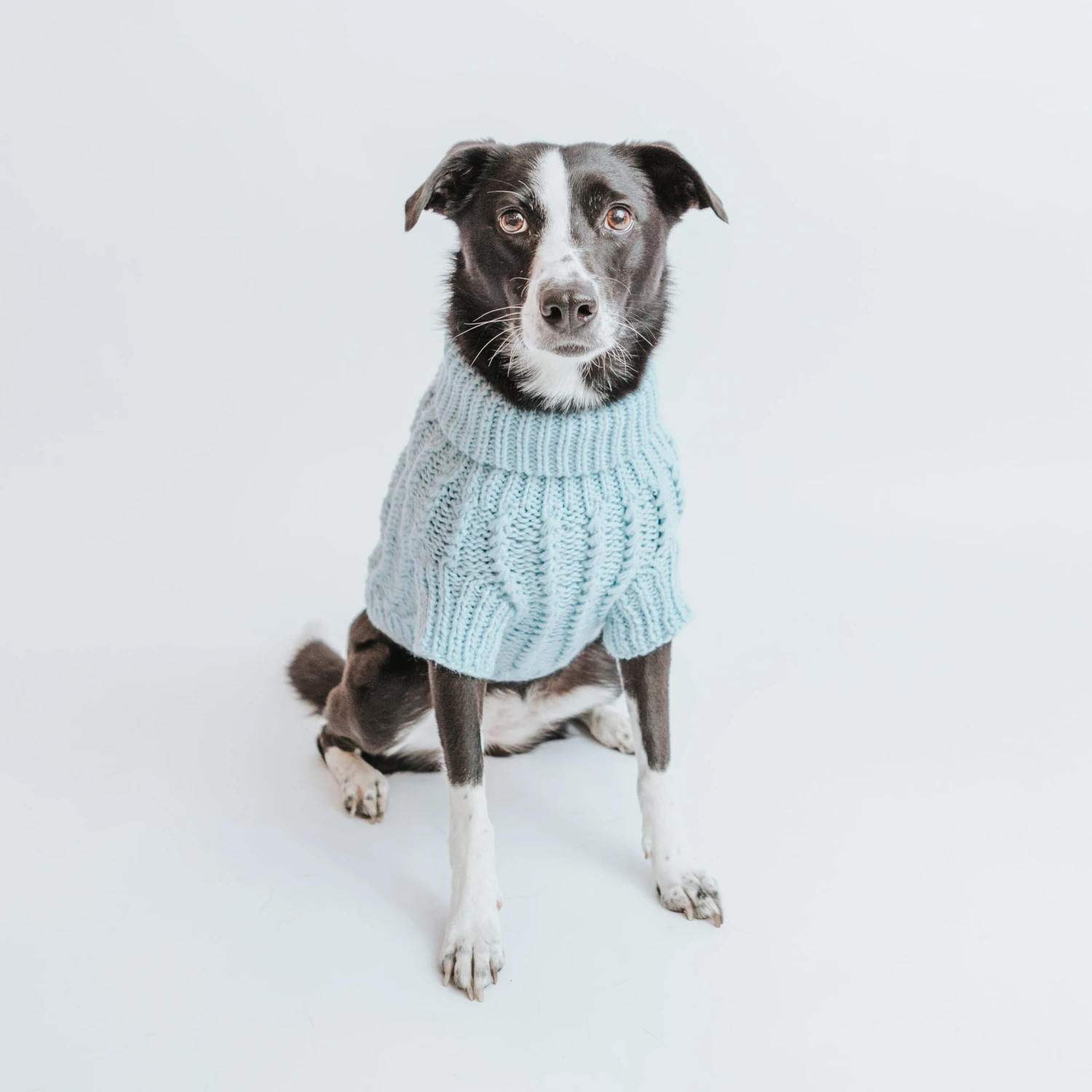 Dog Cable Knit Sweater - Light Blue 11 Dog Cable Knit Sweater - Light Blue - Image 9