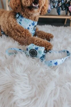 Dog Waste Bag Holder - Berry Sassy -Furfinity Cheap Shop blueberries dog bundle 2 5188f2b7 138b 4587 8785 45760966e58c