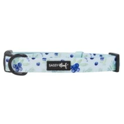 Dog Collar - Berry Sassy -Furfinity Cheap Shop blueberries dog collar 1