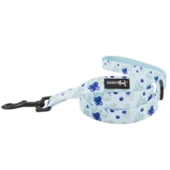 Collar Three Piece Bundle - Berry Sassy -Furfinity Cheap Shop blueberries dog leash 1 2