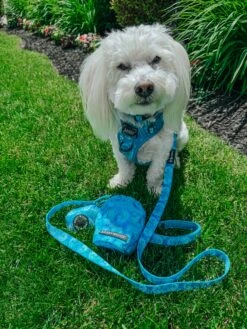 Dog Four Piece Bundle - Tropical Tides 30 Dog Four Piece Bundle - Tropical Tides -Furfinity Cheap Shop bodhi moon the coton 2 9247ca9b 18e5 4ef6 82e9 6ab0d2e15b34