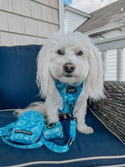 Dog Treat Pouch - Tropical Tides -Furfinity Cheap Shop bodhi moon the coton 3 70e4cfc7 d8ad 4486 b66f fb13c86cf854