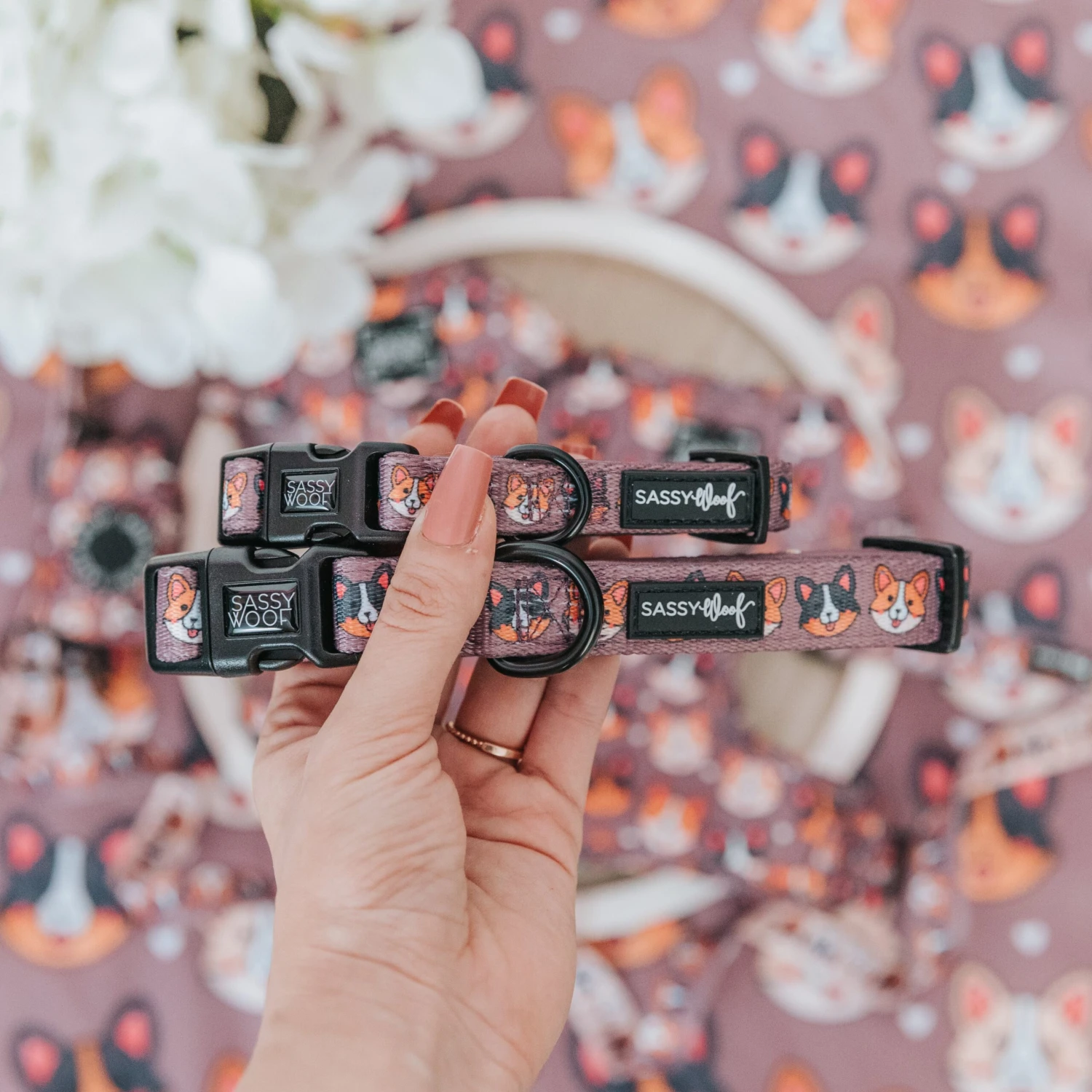 Dog Collar - Cuddly Corgis 7 Dog Collar - Cuddly Corgis - Image 5