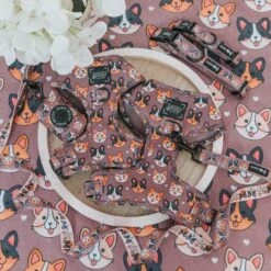 Dog Four Piece Bundle - Cuddly Corgis -Furfinity Cheap Shop breed collections 7