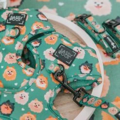 Dog Four Piece Bundle - Pawfect Poms -Furfinity Cheap Shop breed collections pom 2