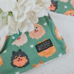 Pet Blanket - Pawfect Poms 7 Pet Blanket - Pawfect Poms -Furfinity Cheap Shop breed collections pom 6