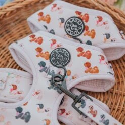 Dog Adjustable Harness - Spunky Shih Tzus -Furfinity Cheap Shop breed shitzu 5