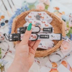 Dog Collar - Spunky Shih Tzus -Furfinity Cheap Shop breed shitzu 8