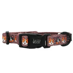 Dog Four Piece Bundle - Cuddly Corgis -Furfinity Cheap Shop breeds corgis collar 2