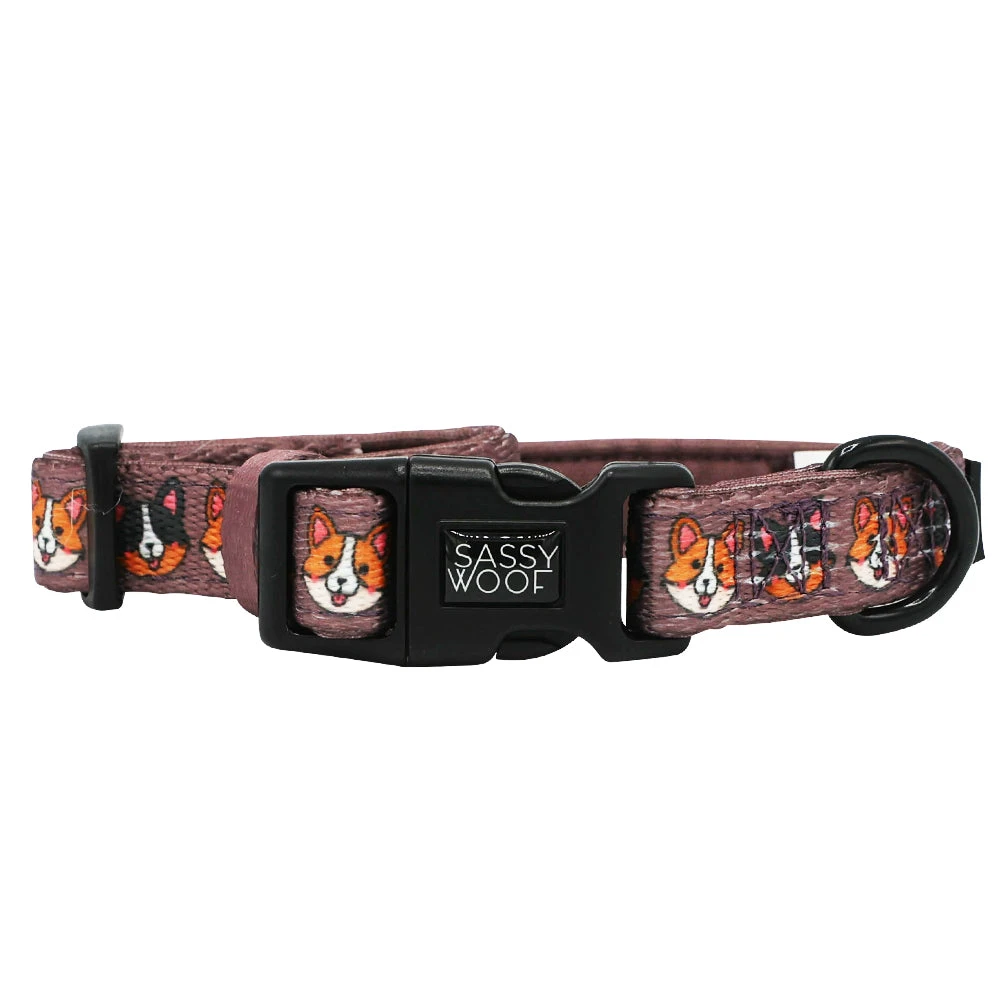 Dog Collar - Cuddly Corgis 4 Dog Collar - Cuddly Corgis - Image 2