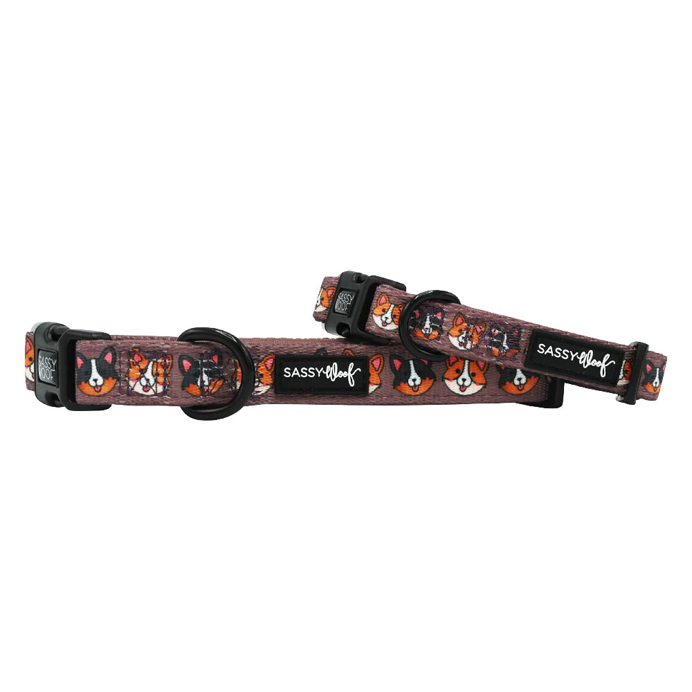 Dog Collar - Cuddly Corgis 3 Dog Collar - Cuddly Corgis