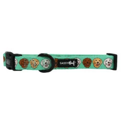 Dog Collar - Glam Goldens -Furfinity Cheap Shop breeds goldens collar
