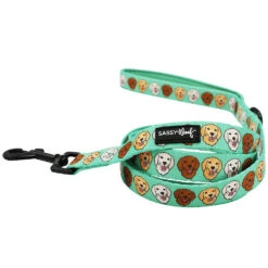 Dog Two Piece Bundle - Glam Goldens 12 Dog Two Piece Bundle - Glam Goldens -Furfinity Cheap Shop breeds goldens leash e28e12fd 26f6 49e5 bc70 f99c1b1cdee4