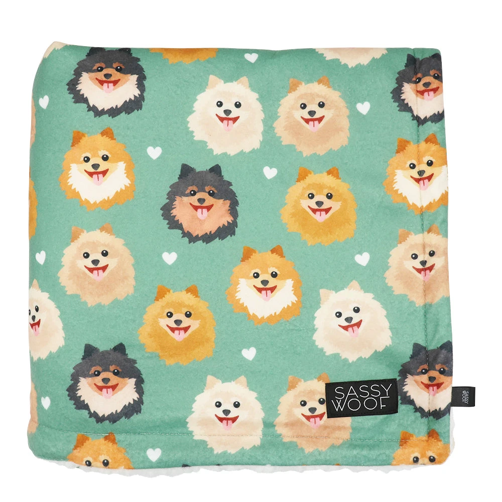 Pet Blanket - Pawfect Poms 3 Pet Blanket - Pawfect Poms