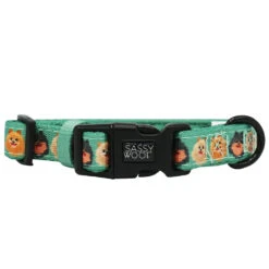 Dog Four Piece Bundle - Pawfect Poms -Furfinity Cheap Shop breeds poms collar 2