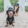 Dog Bucket Hat - My Mom Is My BFF 1 Dog Bucket Hat - My Mom Is My BFF -Furfinity Cheap Shop bucket hat bundle bff 4