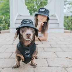 Dog Bucket Hat - My Mom Is My BFF